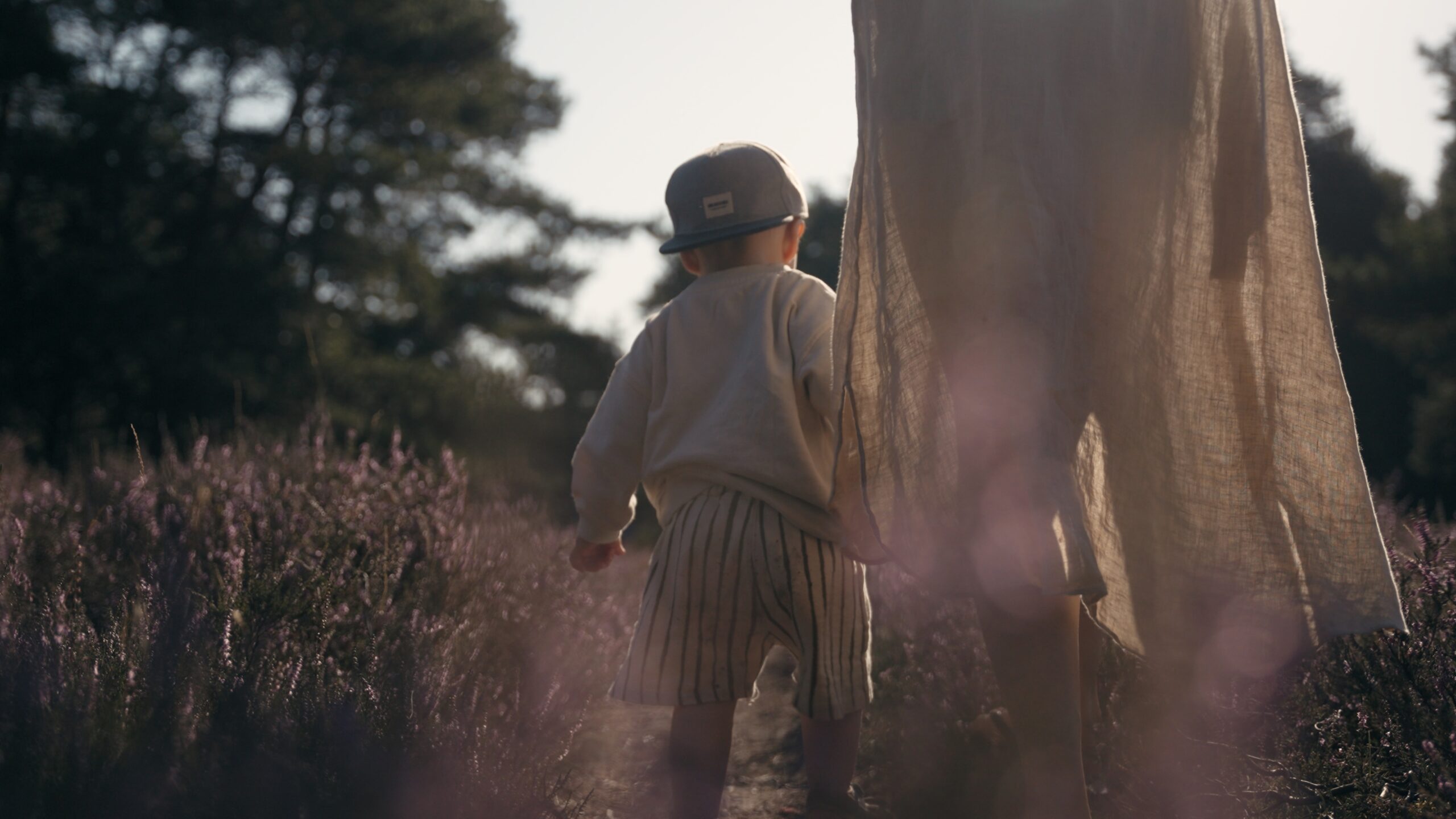 Still 2024-08-16 140916_1.8.1